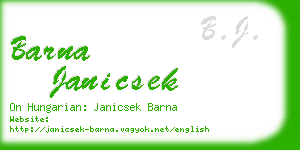 barna janicsek business card